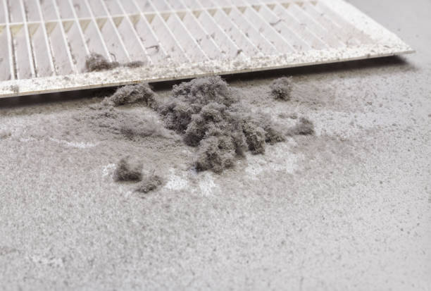 Best Air Duct Cleaning Near Me  in Thompson, ND