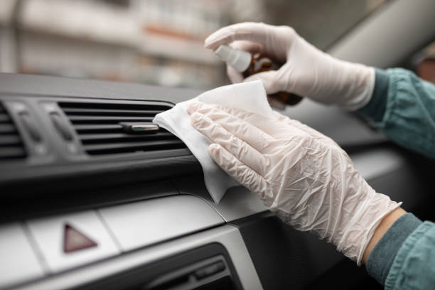 Best Air Duct Mold Removal  in Thompson, ND